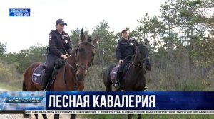 Как проходят патрулирования территорий сотрудниками кавалерийского взвода?