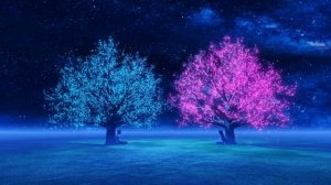 Там, где Ты - Свет