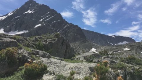 Мульта