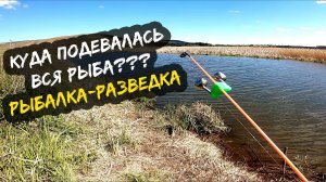 ОТКРЫТИЕ СЕЗОНА В МАЕ / РЫБАЛКА В МАЕ 2025 / РЫБАЛКА ВЕСНОЙ