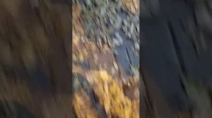 идём на футбол