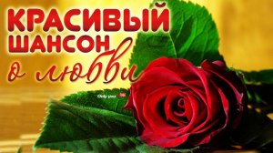 Душевные песни о любви. Александр Иллюзов