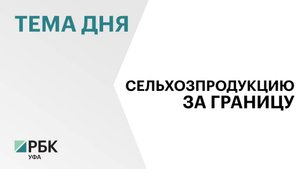 Объём экспорта сельхозпродукции из Башкортостана за девять месяцев 2025 г. превысил $261 млн