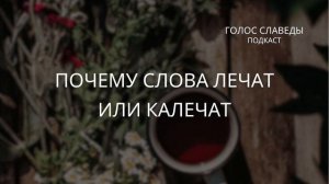 ПОЧЕМУ СЛОВА ЛЕЧАТ ИЛИ КАЛЕЧАТ | Лариса Славеда
