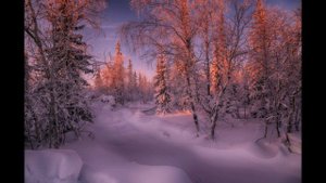 Библия и жизнь. Моя аудиокнига. Часть 31