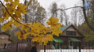 Серафимов лапоток. Свято-Курихинский Знаменский Женский Монастырь