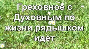 Греховное с Духовным по жизни рядышком идет