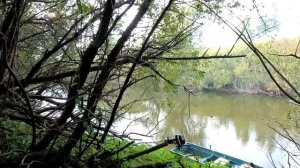 Золотая осень на Любимой речке.