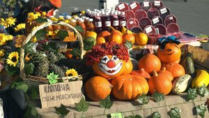 Сахалинский агрофестиваль «Своё.Родное.Островное-2024»