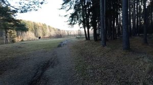 Прогулка у озера ! Красивые виды ! Урал🌳🌲🪵