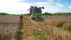 Демонстрационное поле АО "Залесское молоко"