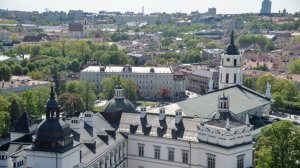 Литва применила систему ПВО, чтобы сбить шары с сигаретами контрабандистов