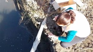 Свой пруд на участке, запускаем Карпа.