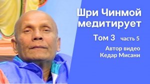 Шри Чинмой медитирует, том 3, часть 5. Автор видео Кедар Мисани