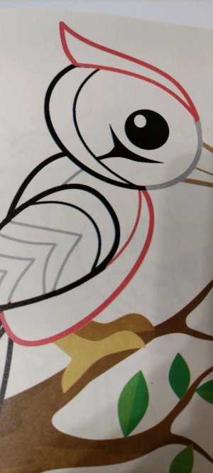 Раскрашиваю дятла.