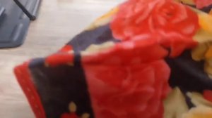 Трекс пекс кекс 1 часть