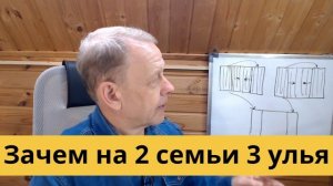 Пасека под ключ задача минимум - из двух семей, в трёх ульях-лежаках, сделать 3-4 семьи и мёд