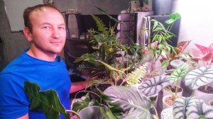 Цветочные новости октябрь