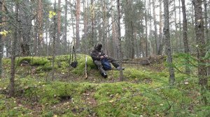 Охота на рябчика с манком. Пятый выход. Барсучий город.