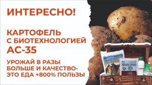Картофель по биотехнологии АС-35. Еда +800% пользы в интернет-магазине «БашИнком в каждый дом»