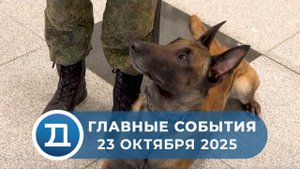 23.10.2025 Домодедово. Главные события.