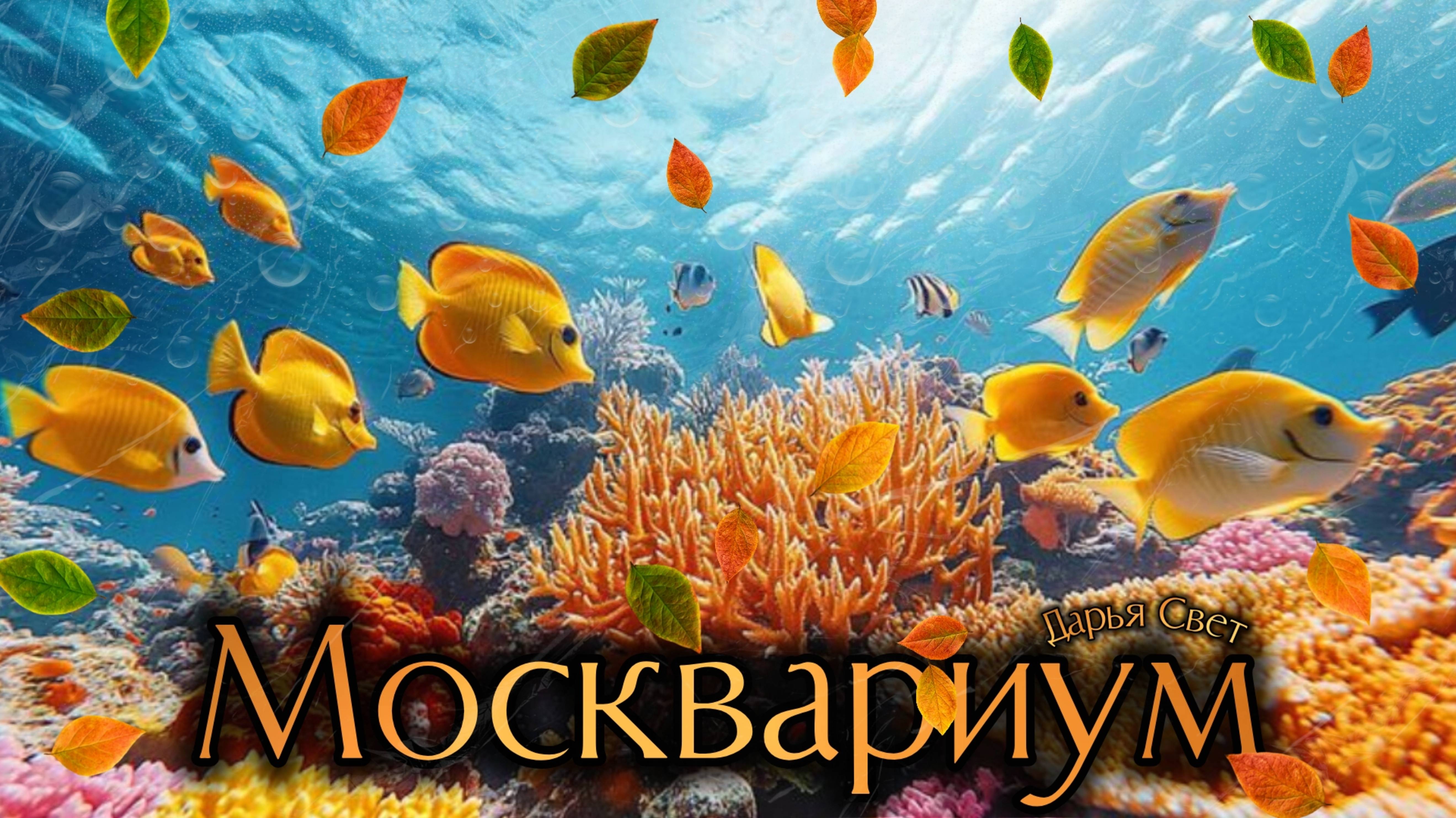 Скалярия обыкновенная. Неоны. Красивые рыбки. Рыбки. Релакс. Океанариум. Москвариум. Октябрь 2025