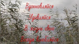 Жили были не тужили.Босс, мега босс.Щя бы яблочко куснуть...
