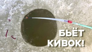 ПЕРВЫЙ ЛЁД...ЛУПИТ КИВОК! ЗАКИНУЛ и УДАРЫ на РЕКЕ! Зимняя рыбалка 2025