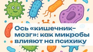 Ось «кишечник–мозг»: как микробы влияют на психику
