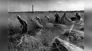 Мишин Прокофий Григорьевич