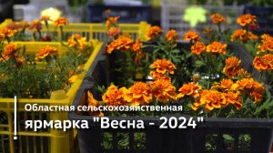 Сельскохозяйственная ярмарка «Весна-2024»