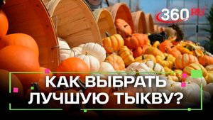 «Амбассадор» осеннего сезона появился на рынках Одинцова
