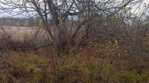 В Луганске сотрудники полиции и Росгвардии, а также неравнодушные граждане нашли пропавшего мужчину