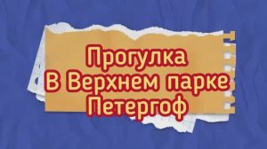Прогулка в Верхнем парке Петергофа