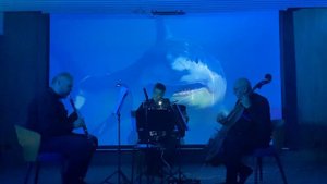 Трио «Ощущения» Trio Sensations Астор Пьяццолла Astor Piazzolla Танго "Акула" Tango Esqualo