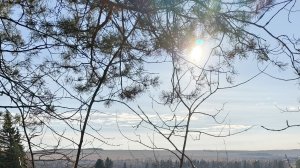 22 октября, прогулка за полезностями по лесу.