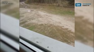 Орловцев призвали устанавливать кормушки для птиц