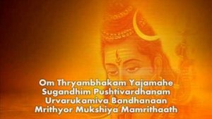 Hein Braat - Maha Mrityeonjaya Mantra (Gayatri Mantra _ Maha Mrityeonjaya Mantra