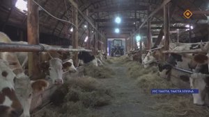 "Силис" ТХПК саҥа хотону туруорсар