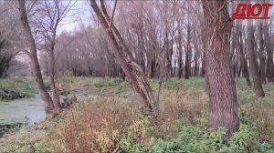 Живите в радости