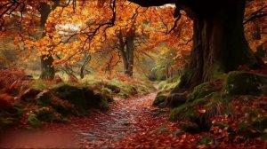 SKRIZHALI - ОСЕННЯЯ