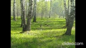 ч.1. Встреча с Отцом Янки Дягилевой 2011 г.