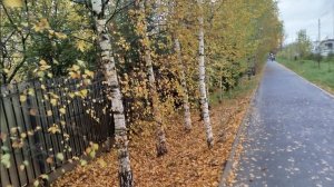 Третий день в больнице