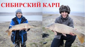 Рыбалка на карпа, сазана. Рыбалка в Хакасии. Рыбалка на фидер.