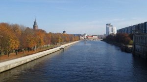 Прогулка по реке Преголя