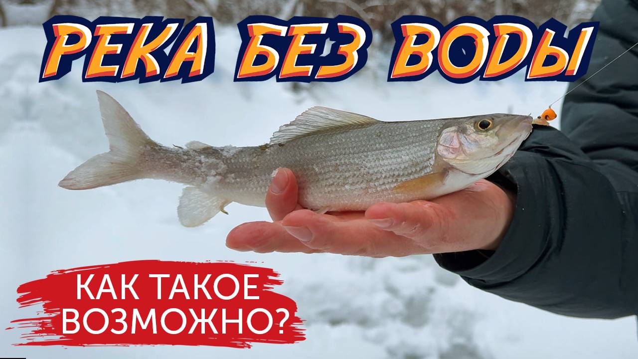 В РЕКЕ НЕТ ВОДЫ… А ХАРИУС ЕСТЬ! Зимняя сказка смотреть онлайн