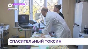 Приморские врачи успешно лечат неврологические нарушения ботулотоксином