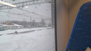 Ирина Одарчук Паули Восстановление 2025