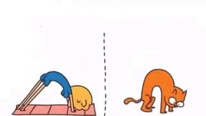 А реально 🤣