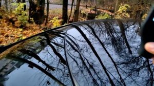 В родном окрасе😉